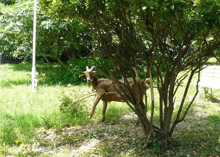 酒店 Briz 3 - Free Parking 2*