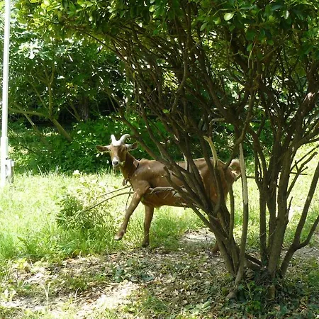 Otel Briz 3 - Free Parking 2*